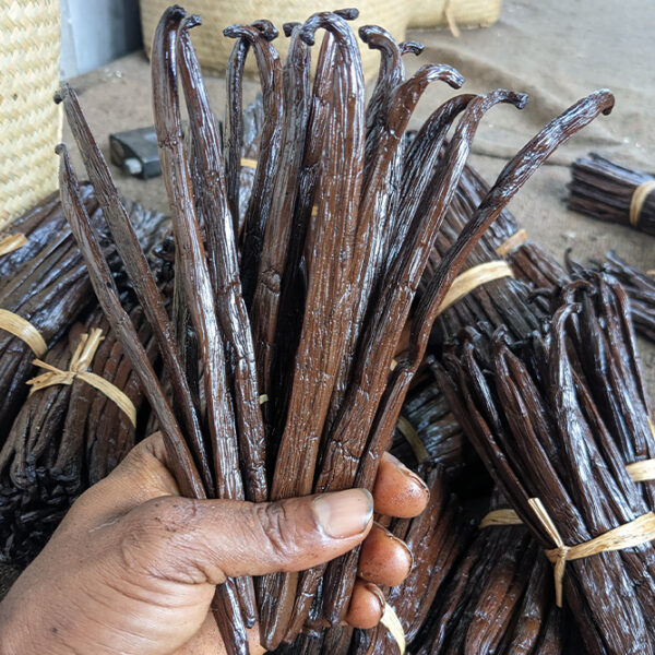 3 GOUSSES DE VANILLE BOURBON DE MADAGASCAR
