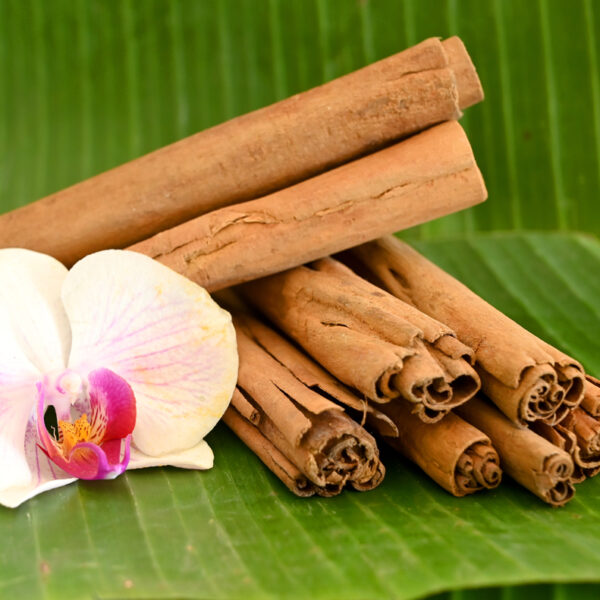 CANNELLE EN BATON 100G DE MADAGASCAR