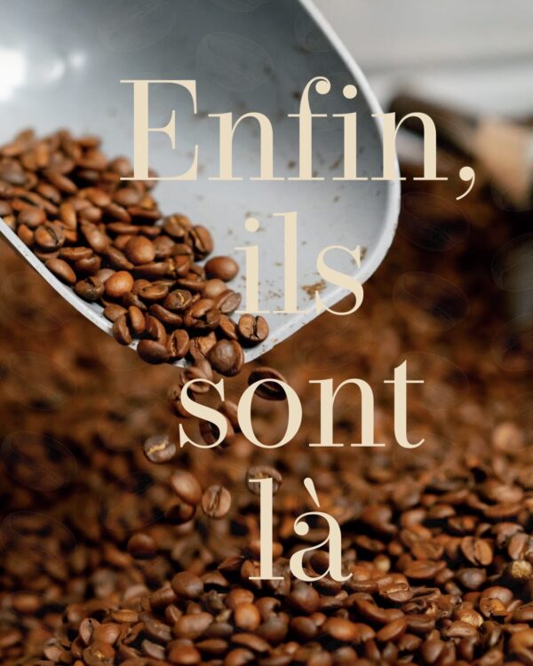 CAFÉ  MOULU ARABICA DE Madagascar 250g – Image 5